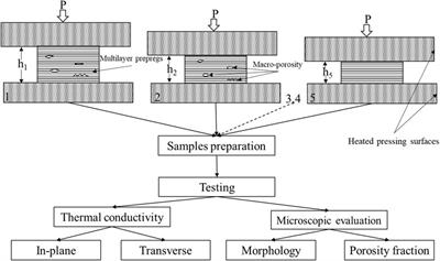 On the relationship of morphology evolution and thermal conductivity of flax reinforced polypropylene laminates